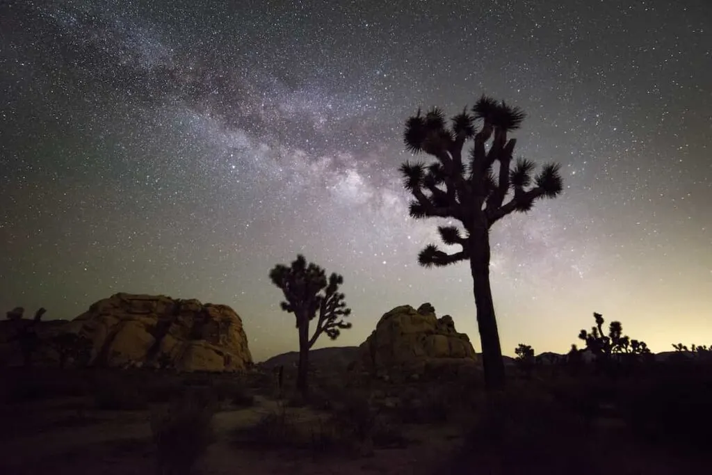 The Best Campsites for Stargazing in the USA 5 A view of the night sky at Johua Tree National Park.