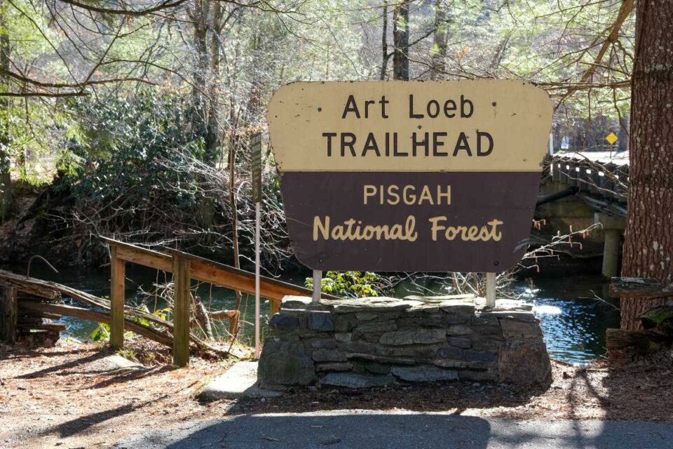 Pisgah National Forest Camping 5 Fun Things to do & More