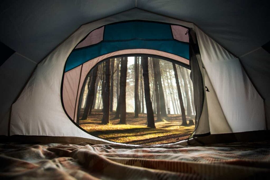 View of trees from inside a large tent.