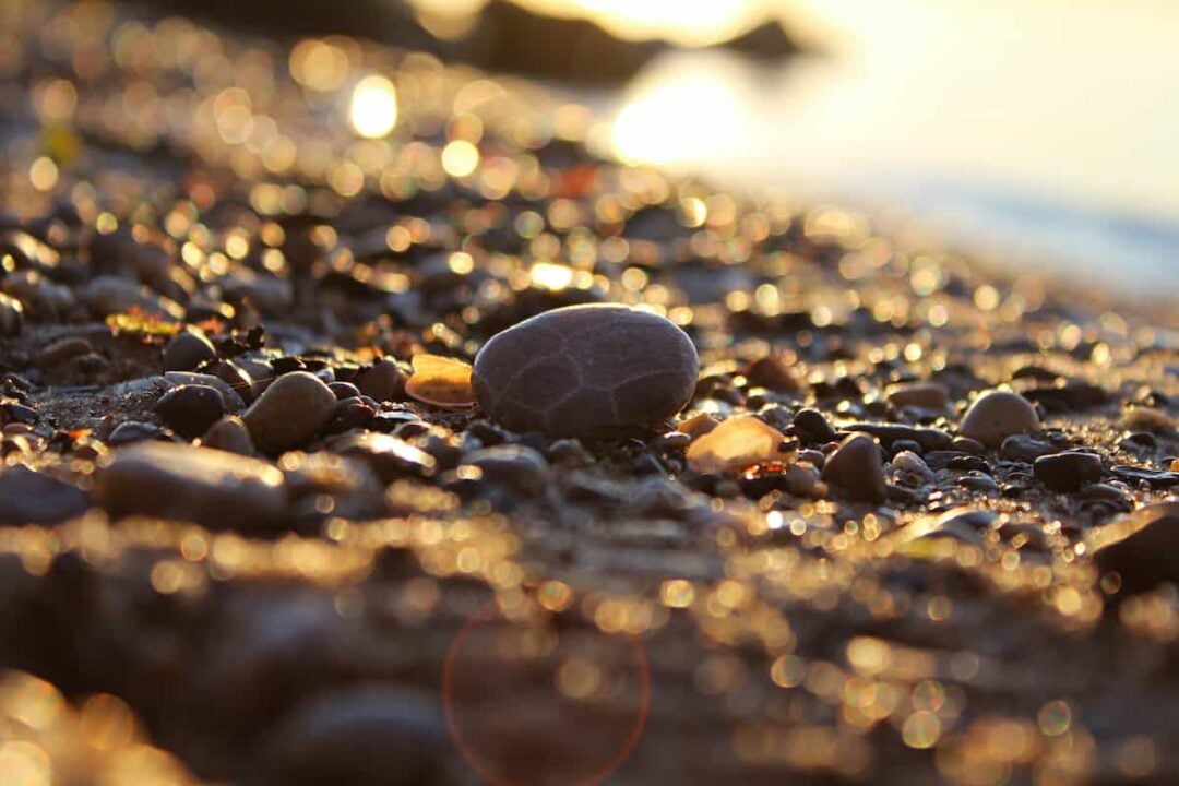 Petoskey State Park Camping Guide Beyond The Tent