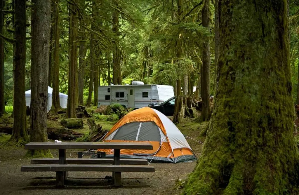 Clear Lake State Park Camping Guide 4 A campground for tent and RV camping.