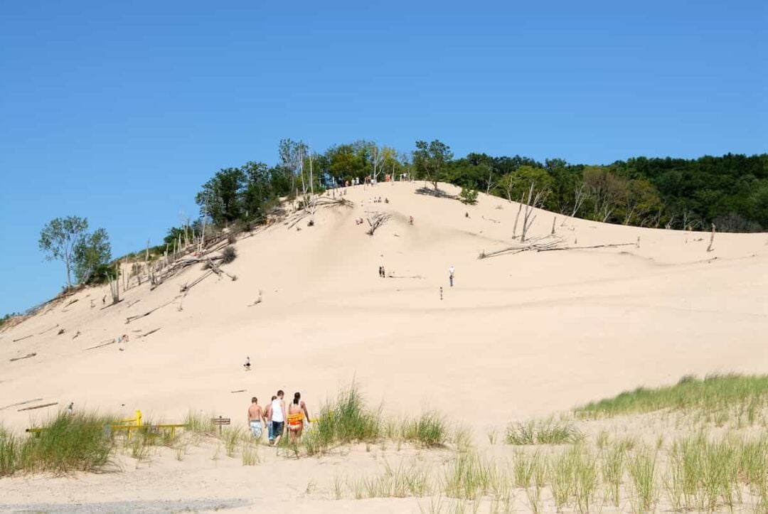 Warren Dunes State Park Camping Guide (Michigan) - Beyond The Tent