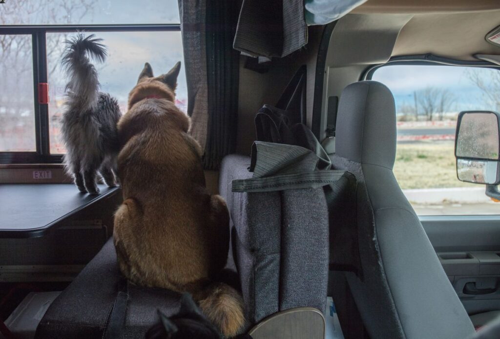 RV Safety