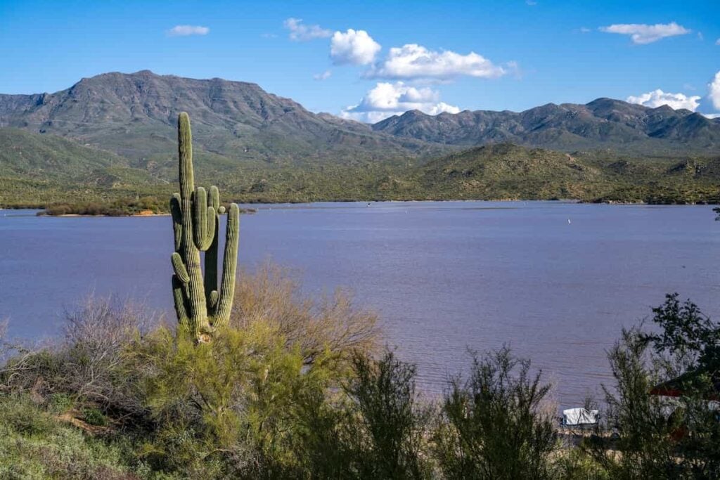 A saguaro in the foreground with a view of Bartlett Reservoir in the background.