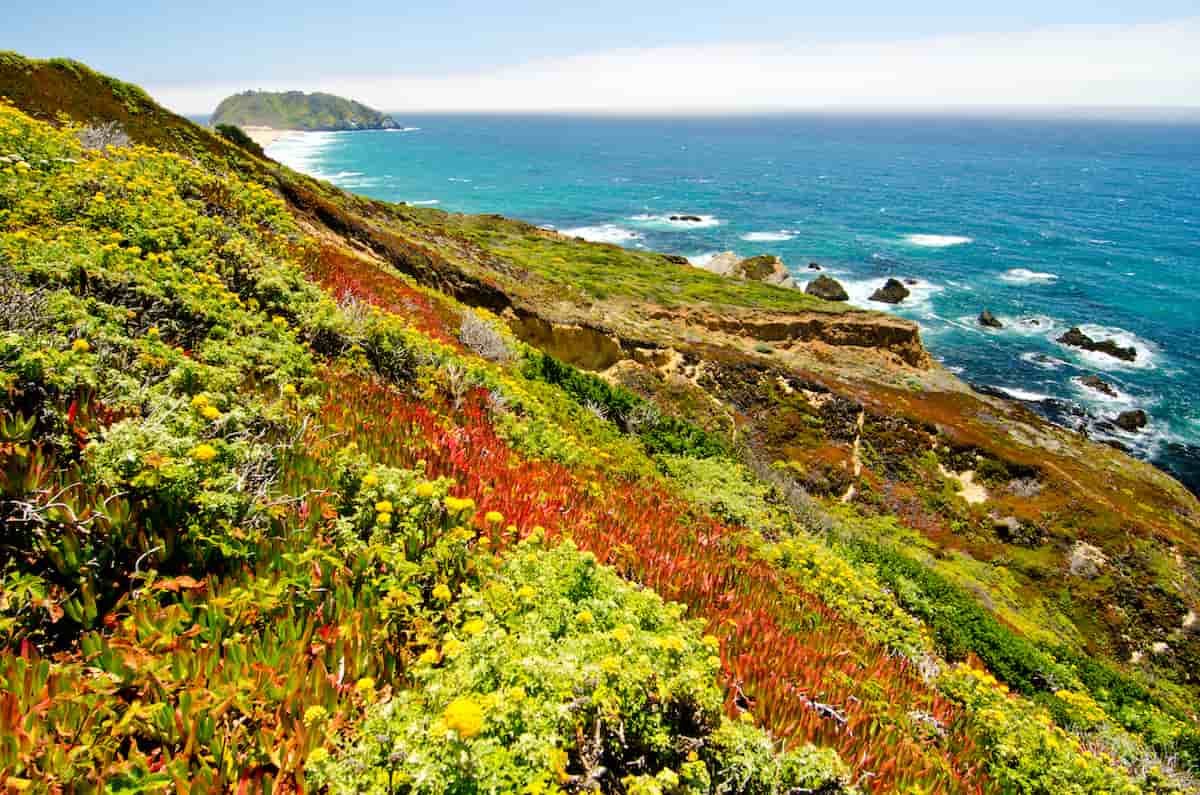 A Guide to California State Parks Camping 6 A view of the California coast in springtime colors on a sunny day.