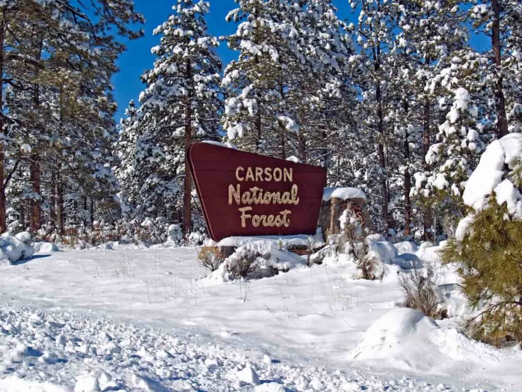 Carson National Forest Camping Guide 2 A sign for Carson National Forest after a snowfall. Carson National Forest camping.