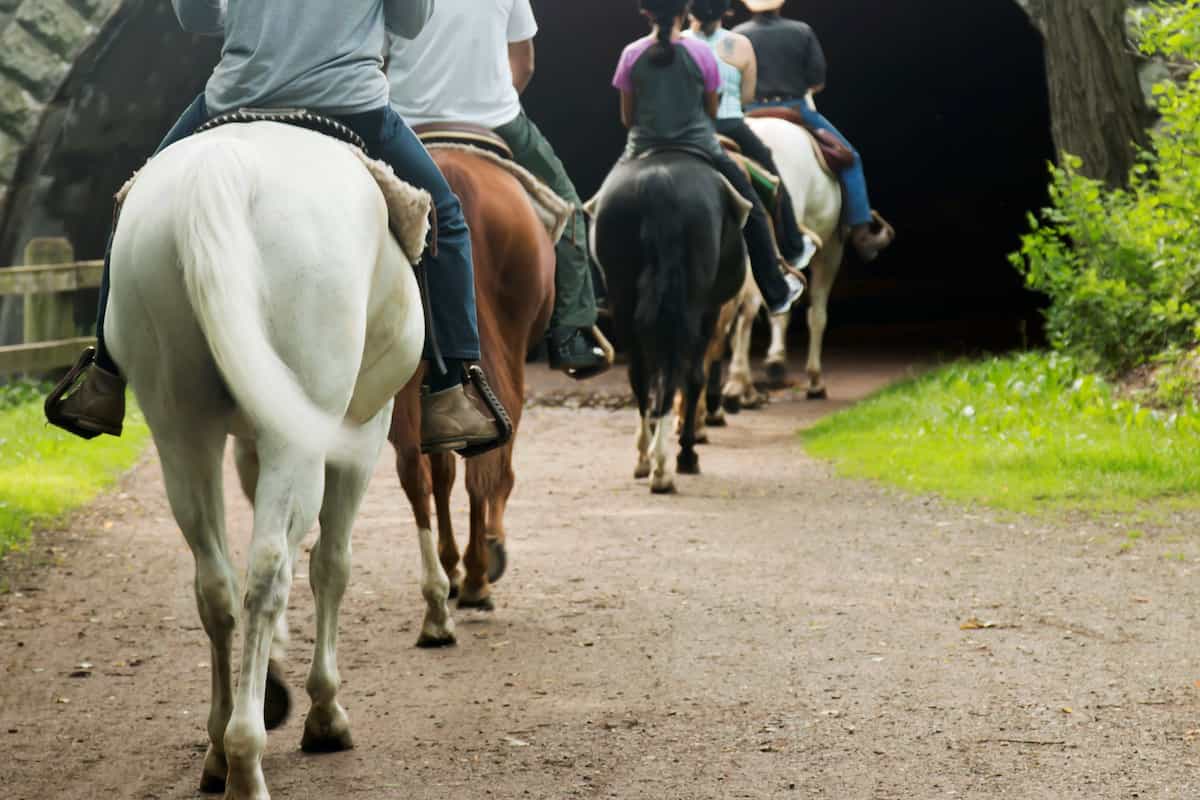 A Guide to Wisconsin State Parks Camping 9 A group of people riding horses on a trail.