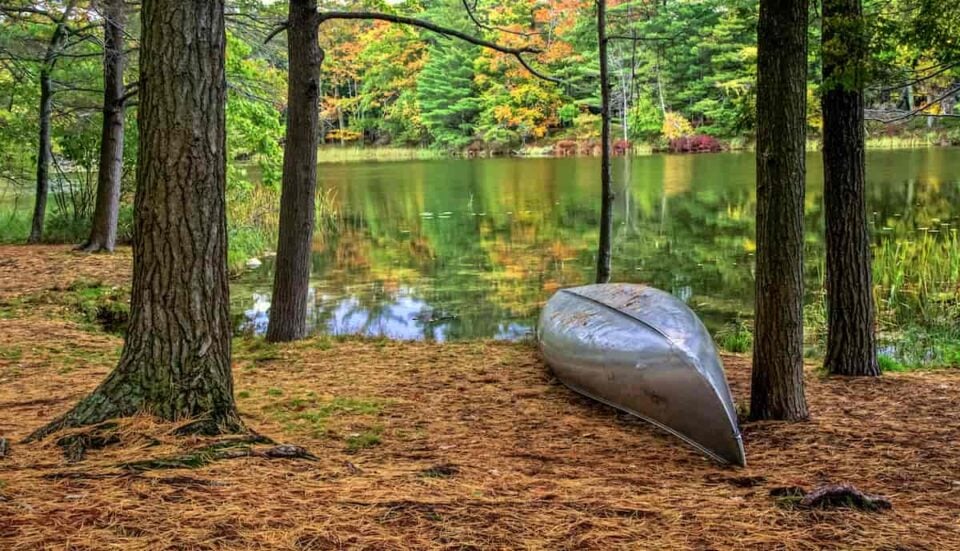 Ludington State Park Camping Guide