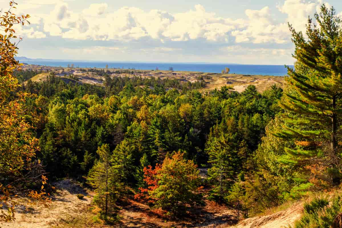 Ludington State Park Camping Guide 5 A view of Lake Michigan from a hiking trail in Ludington State Park.