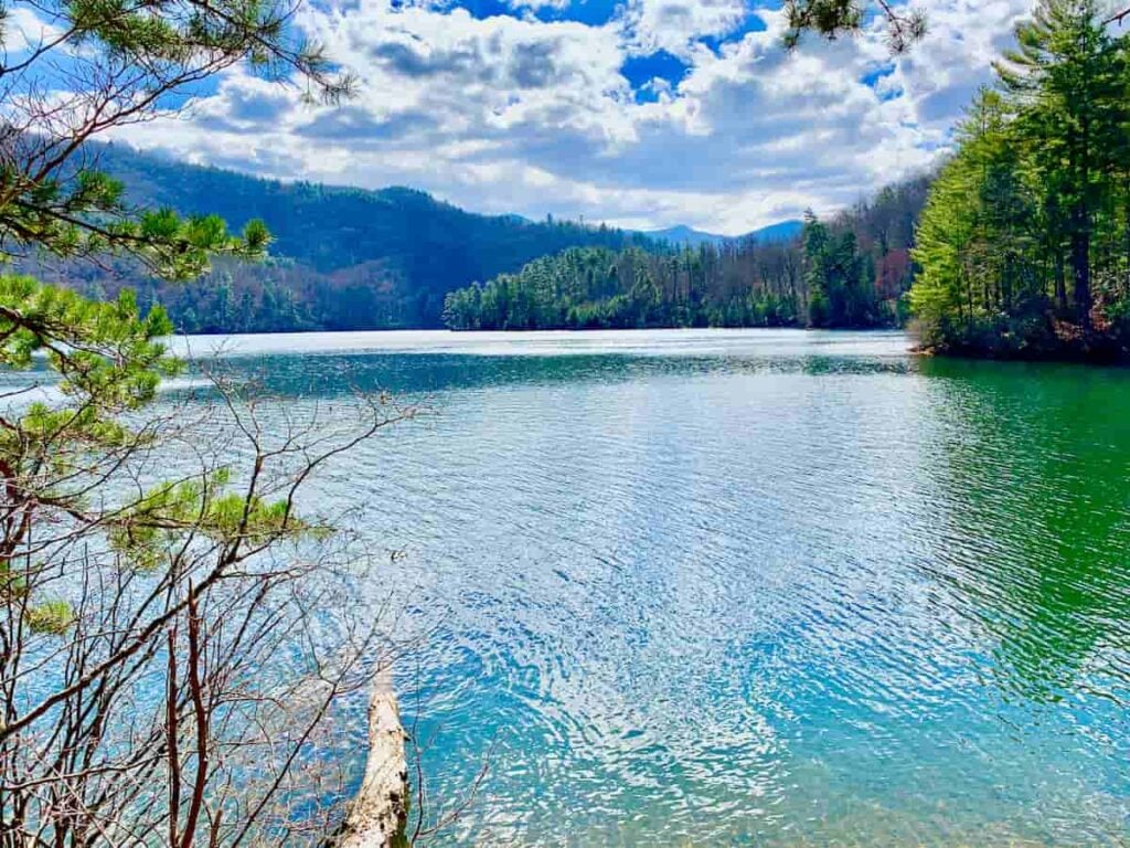 A view of the blue water of Lake Santeelah surrounded by trees on a sunny day in the Nantahala National Forest.