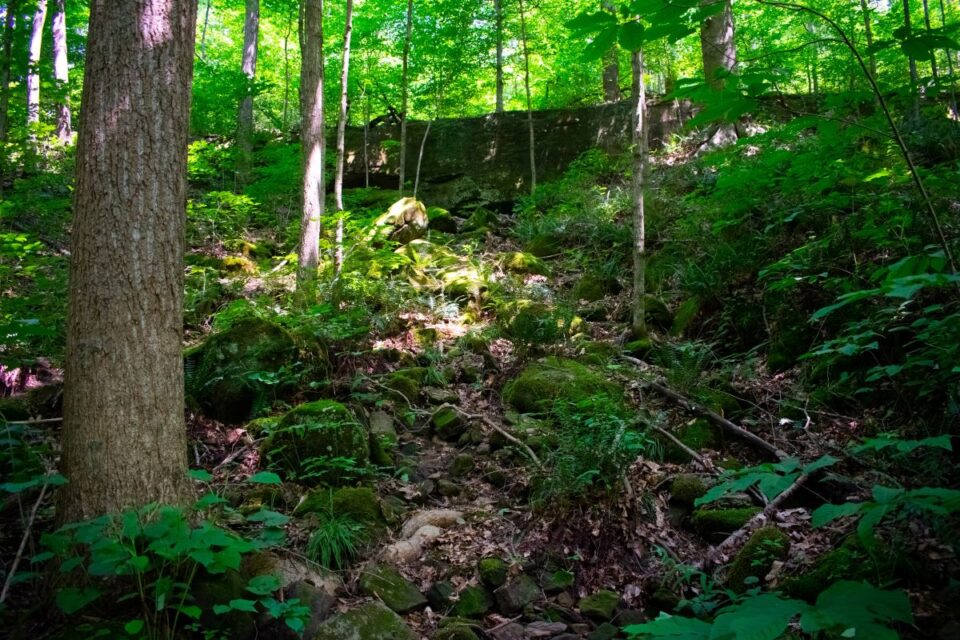 Hoosier National Forest Camping Guide Beyond The Tent