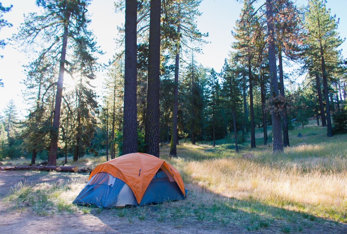 7 Essential Skills for a Successful Primitive Camping Trip 1 los padres national forest camping. Primitive camping.