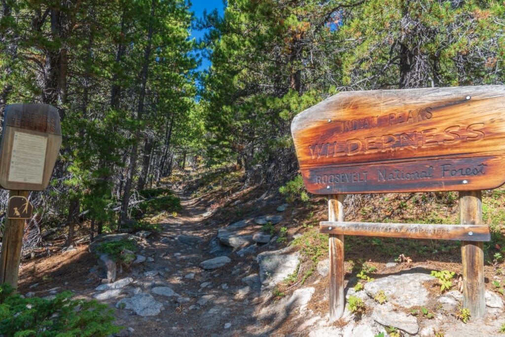 roosevelt national forest camping