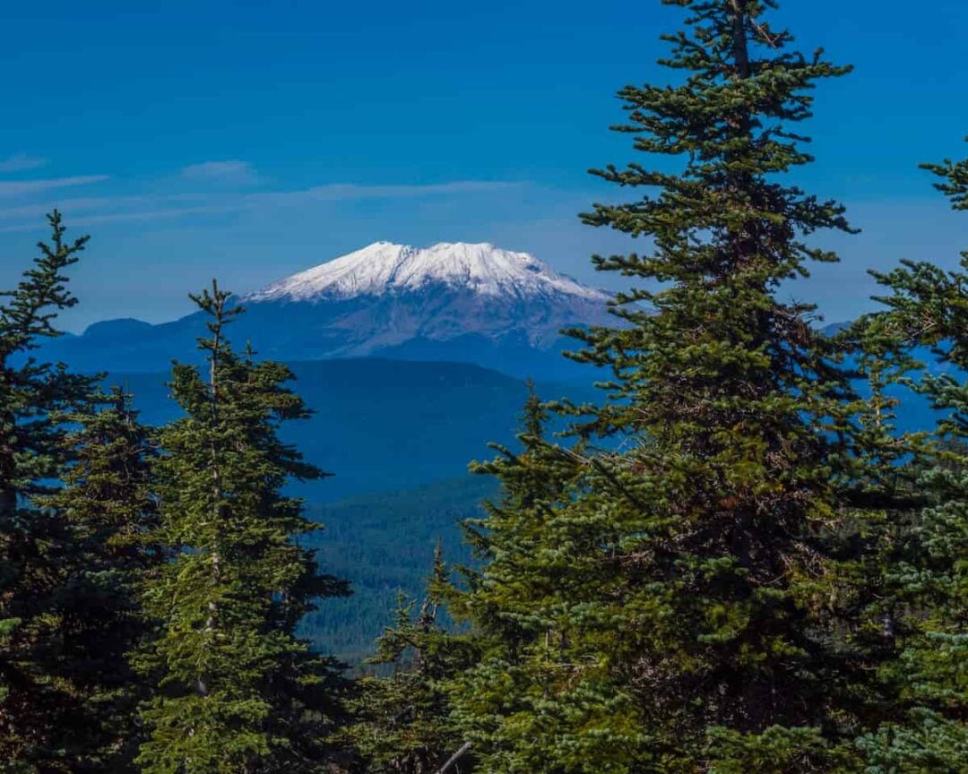 Gifford Pinchot National Forest Camping Guide Beyond The Tent