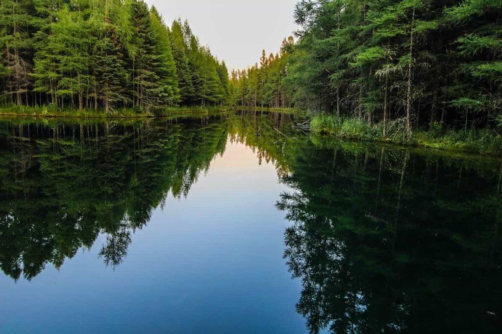 Trees and sky reflected in water at Palms Book State Park in Michigan.