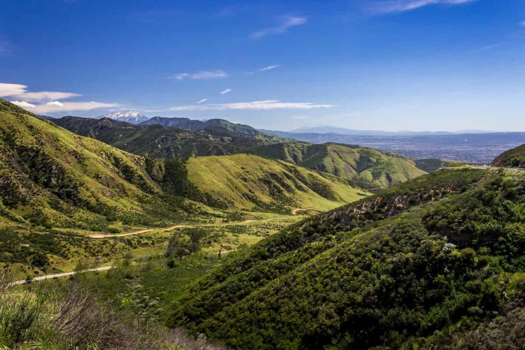 A few of green mountains in the San Bernardino National Forest.