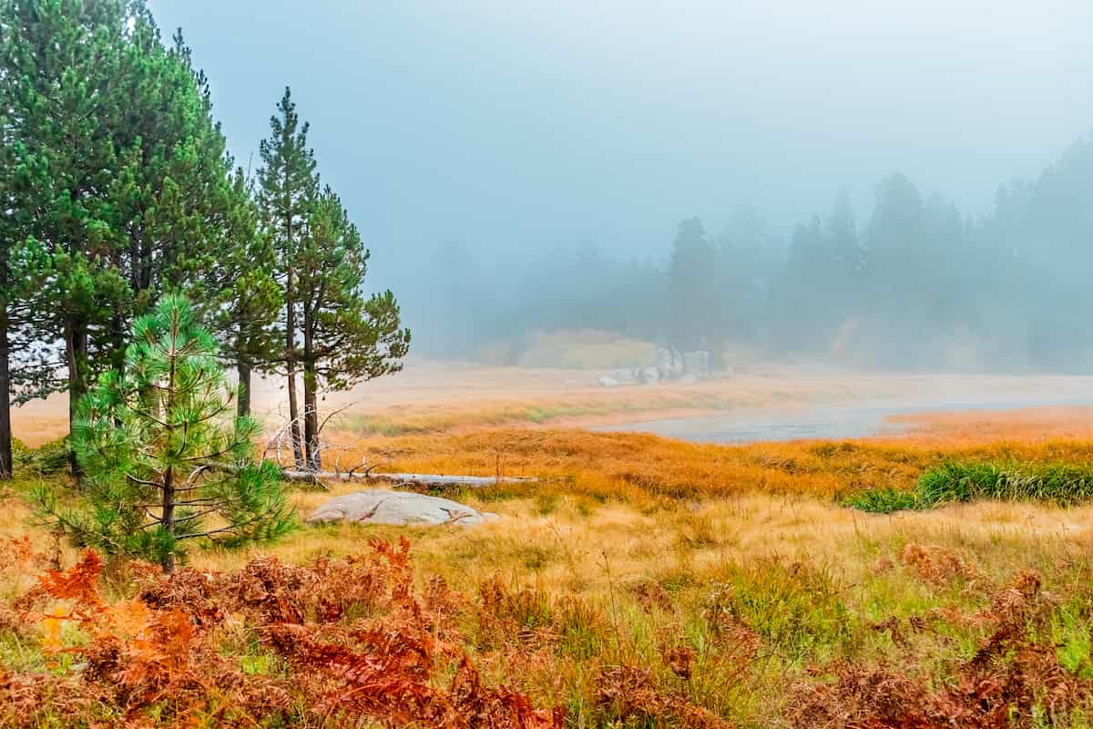 San Bernardino National Forest Camping Guide 9 A foggy view near Bluff Lake in San Bernardino National Forest.