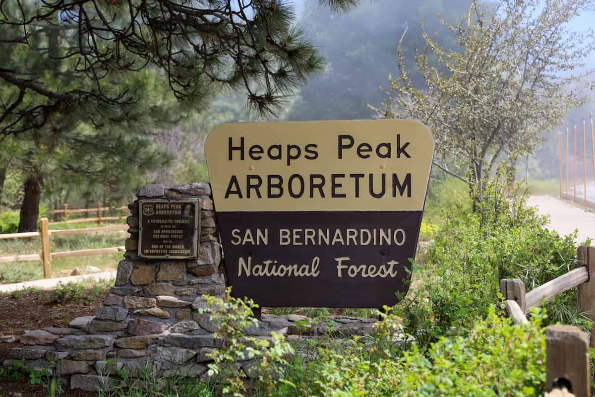 San Bernardino National Forest Camping Guide 2 Sign for Heaps Peak Arboretum, a potential activity on a San Bernardino National Forest camping trip.