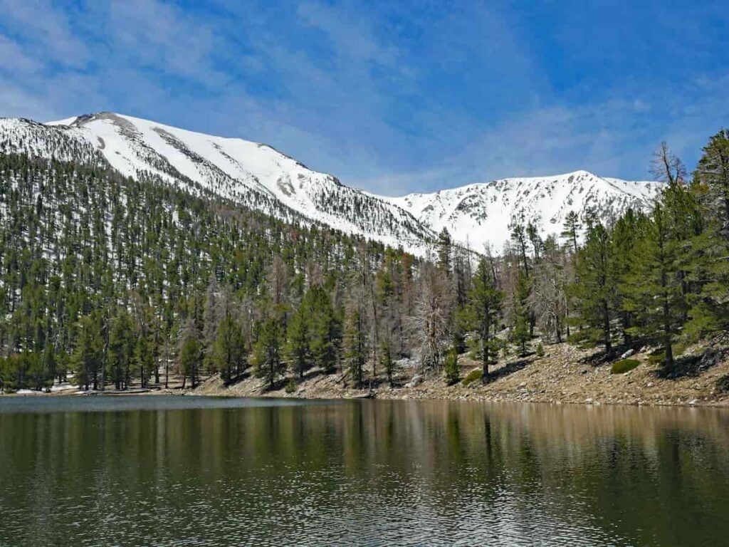 View of San Gorgonio and Jepson peaks in San Bernardino National Forest.