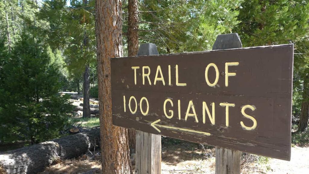 A sign for the Trail of 100 Giants in Sequoia National Forest.