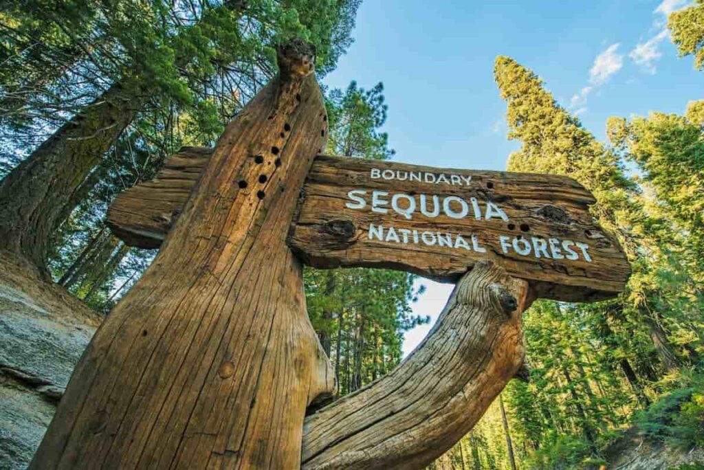 View of a sign for the Sequoia National Forest.