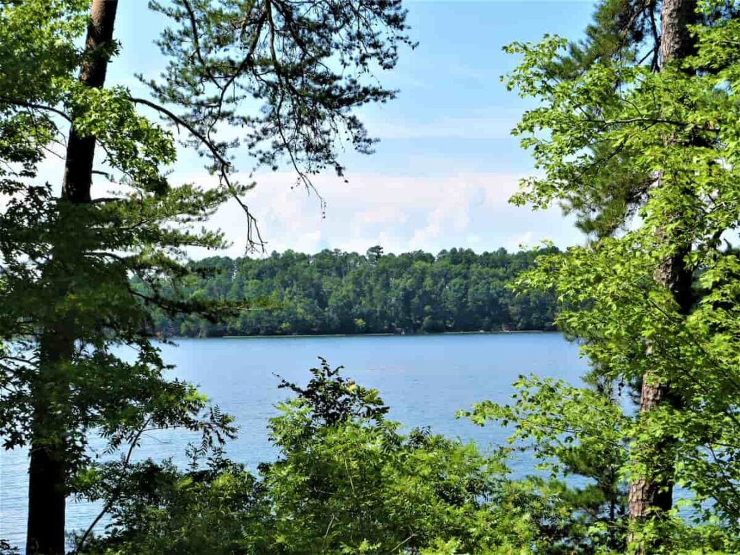 Uwharrie National Forest Camping Guide Beyond The Tent