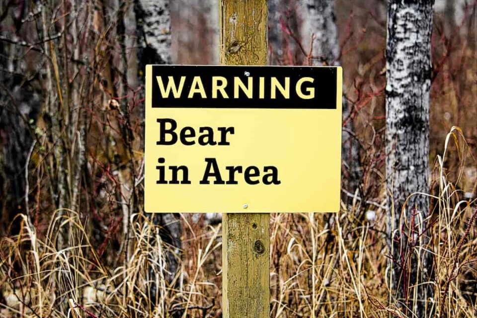 How To Use Bear Spray And Stay Safe From Bears Beyond The Tent