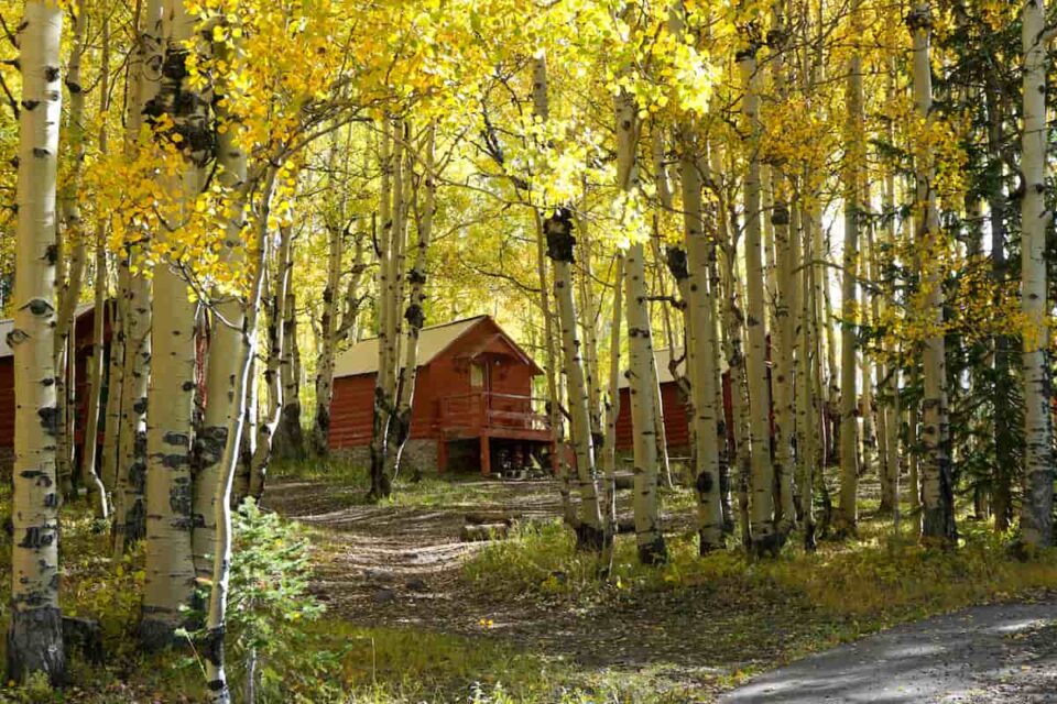 Rocky Mountain Retreats The Best Cabin Camping in Colorado Beyond