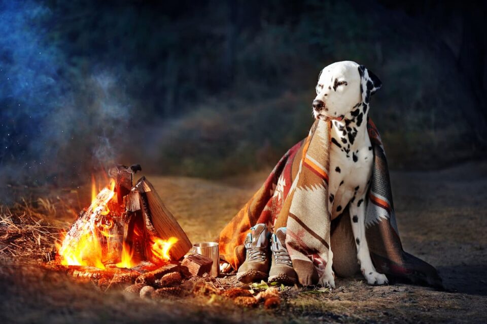 Stay Toasty The Best Battery Powered Heating Blankets for Camping in