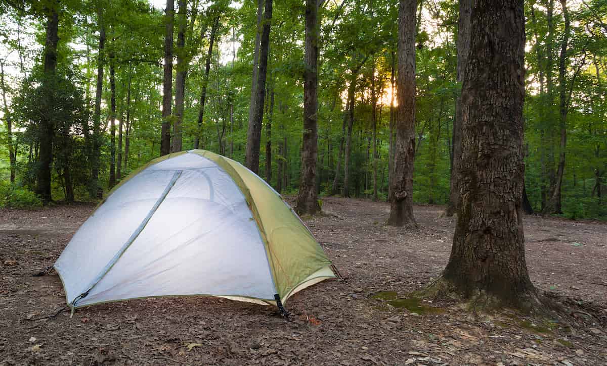 Uwharrie National Forest Camping Guide 2 uwharrie national forest camping