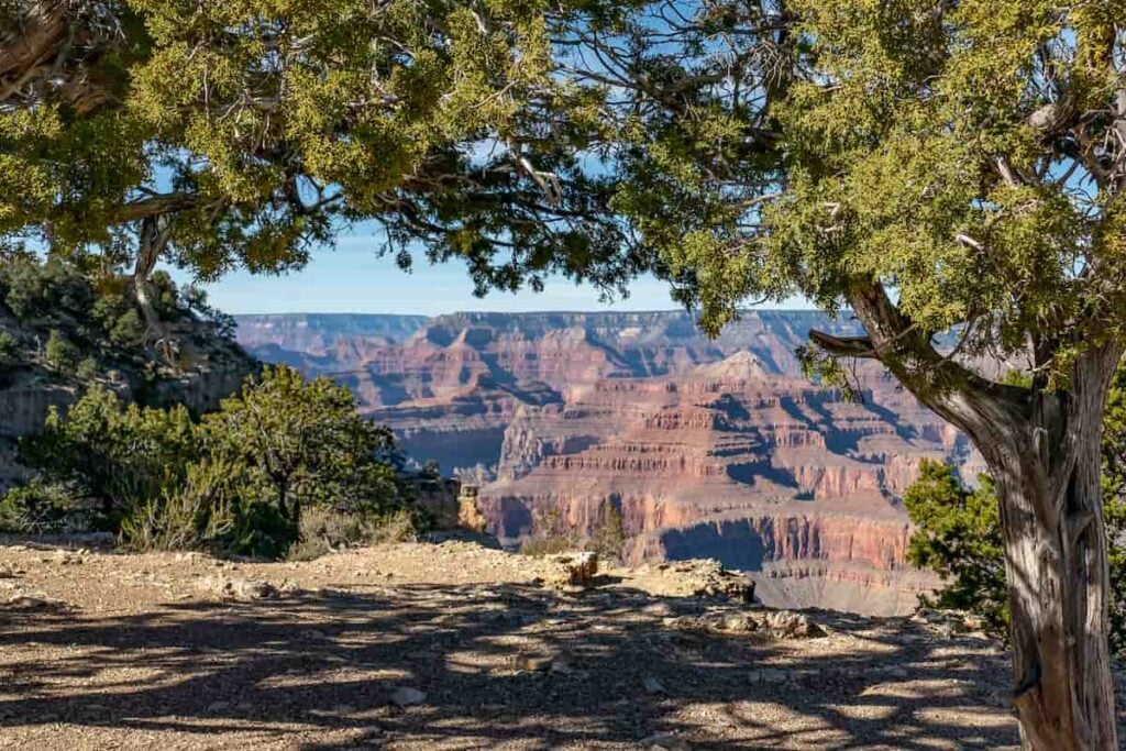 The 20 Best Free Camping Spots in Arizona 2 A view of the Grand Canyon in Kaibab National Forest.