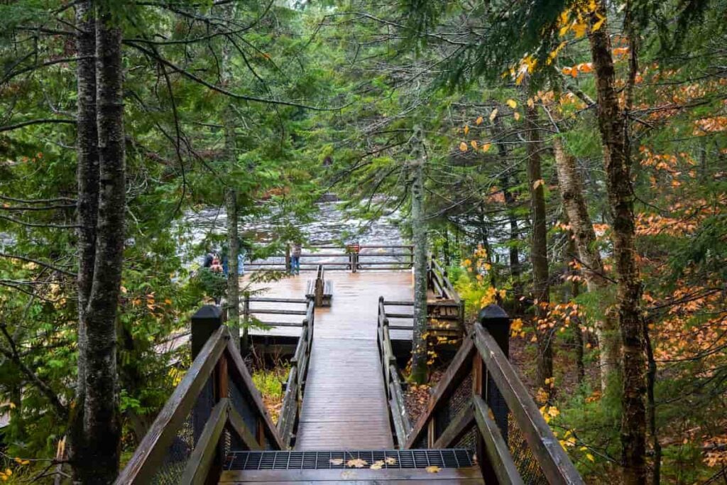 A wooden boardwalk inside Tahquamenon Falls State Park