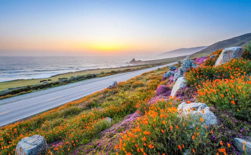 Big Sur RV Camping: Where the Forest Meets the Sea 3 big sur rv camping