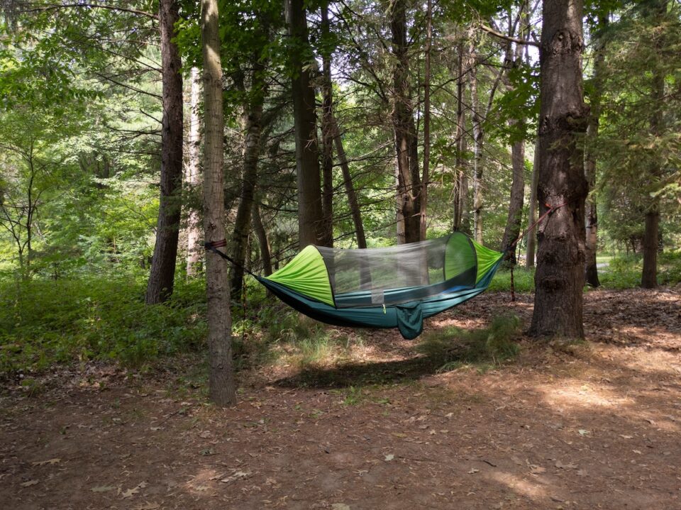 Sleeping Under The Stars, BugFree The Benefits Of A Hammock With