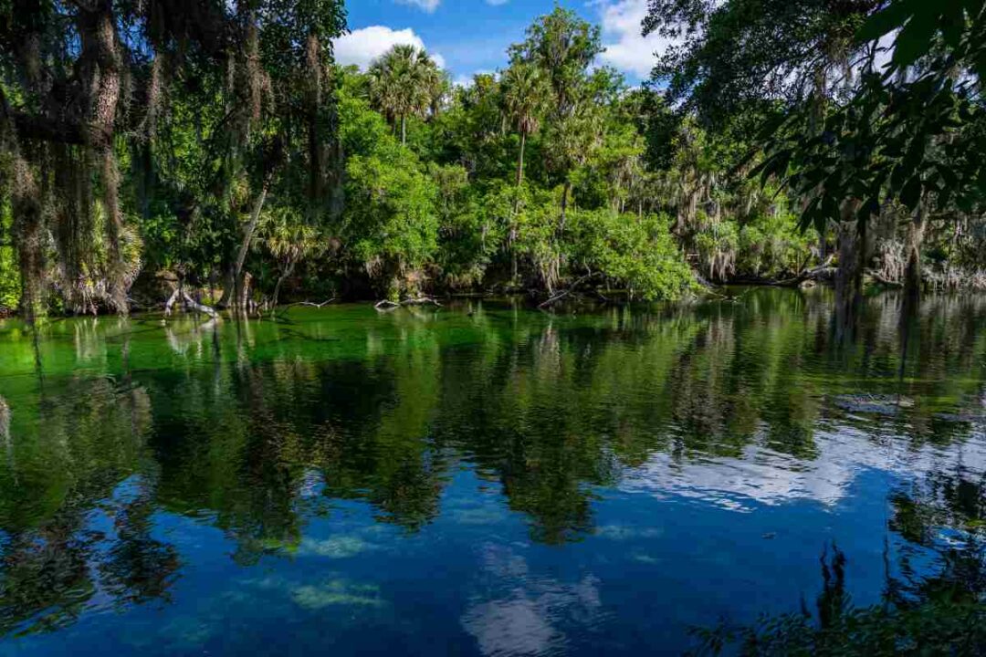 7 Hot Springs in Alabama You Need to See - Beyond The Tent