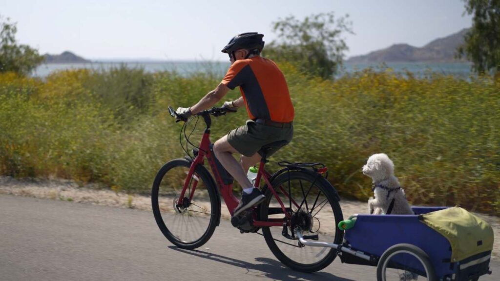 Travelling Light: The 5 Best Bicycle Trailers for Camping 8 Dog Bike Trailer