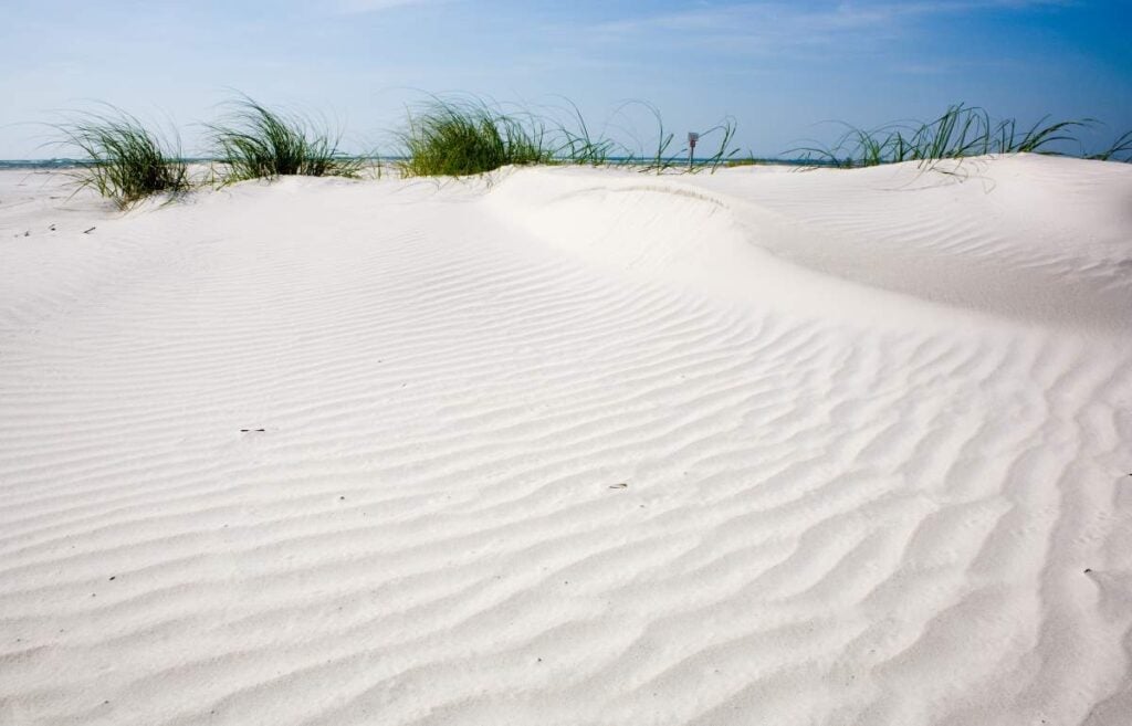 Henderson Beach State Park Camping Guide: Get Ready for a Thrilling Vacation! 6 Florida Dunes