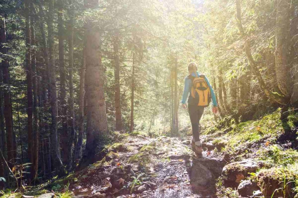 12 of the Best Trails to Go Hiking in Indiana 1 Hiking in Indiana