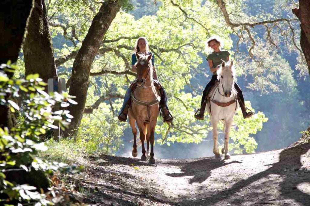Horseback Riding