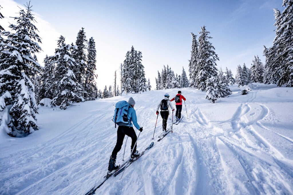 The Ultimate Guide To Men's Outdoor Clothing 6 Mountaineer backcountry ski waling in the mountains. Ski touring in high alpine landscape with snowy trees. Adventure winter extreme sport.
