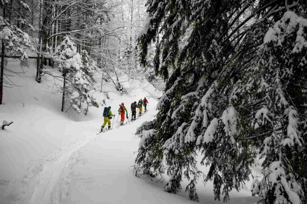 Skiing in Sequoia National Park