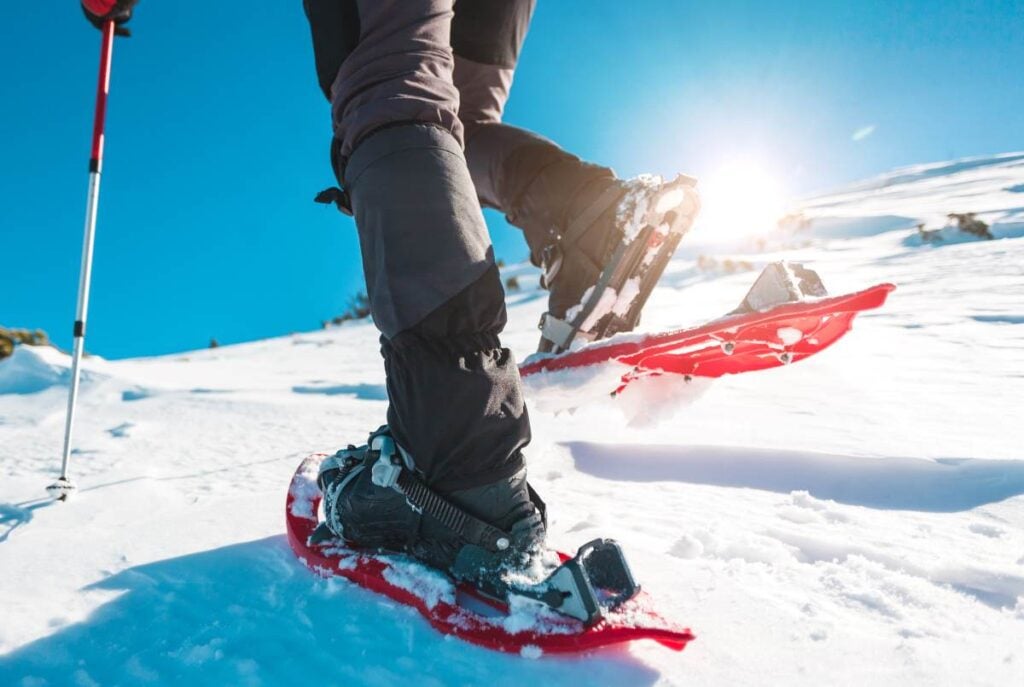 The Beginner’s Guide to Snowshoeing 1 Snowshoeing