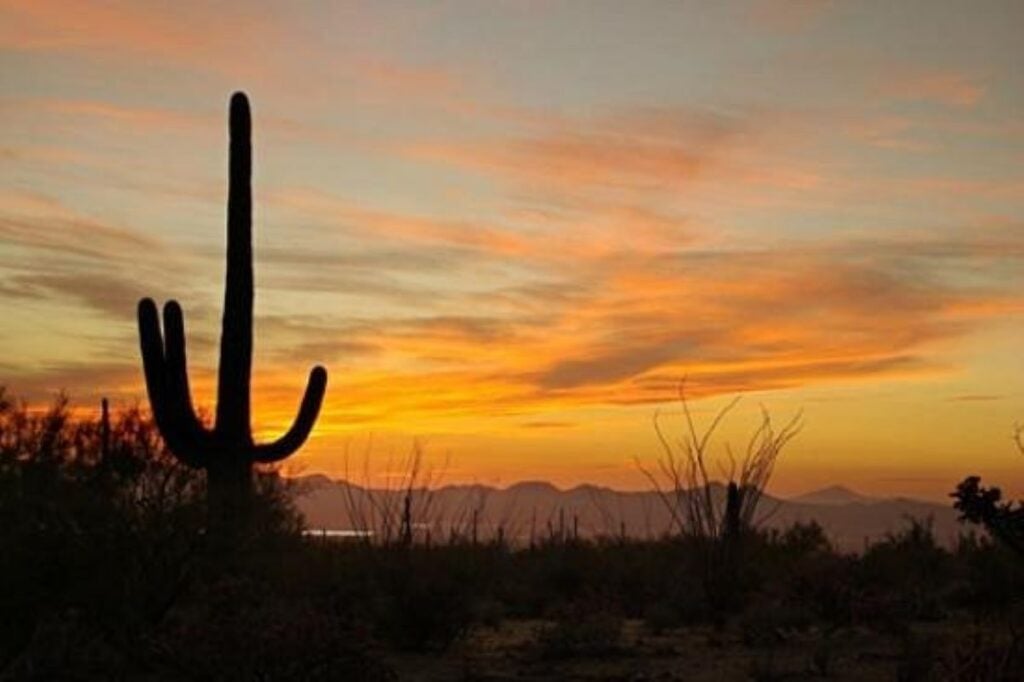 Tucson