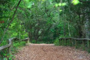 Fort Clinch State Park Camping Guide - Beyond The Tent
